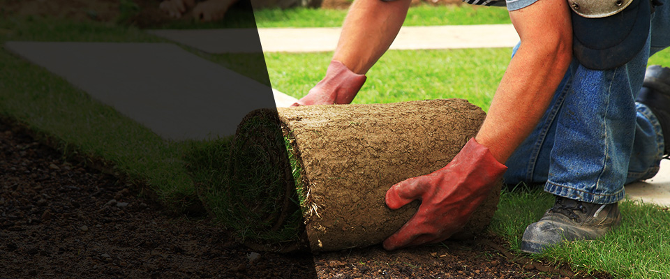 Judsonia Landscapers